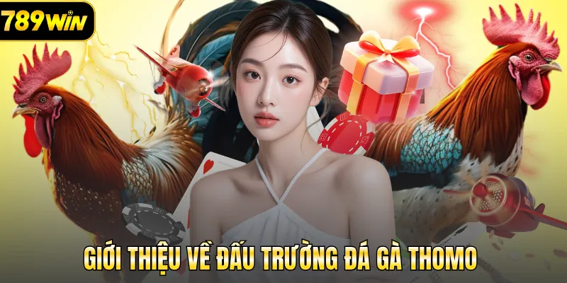 Giới thiệu về đấu trường đá gà Thomo