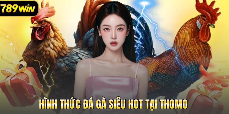 Hình thức đá gà siêu HOT tại Thomo